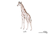 Wall Stickers - Large Giraffe