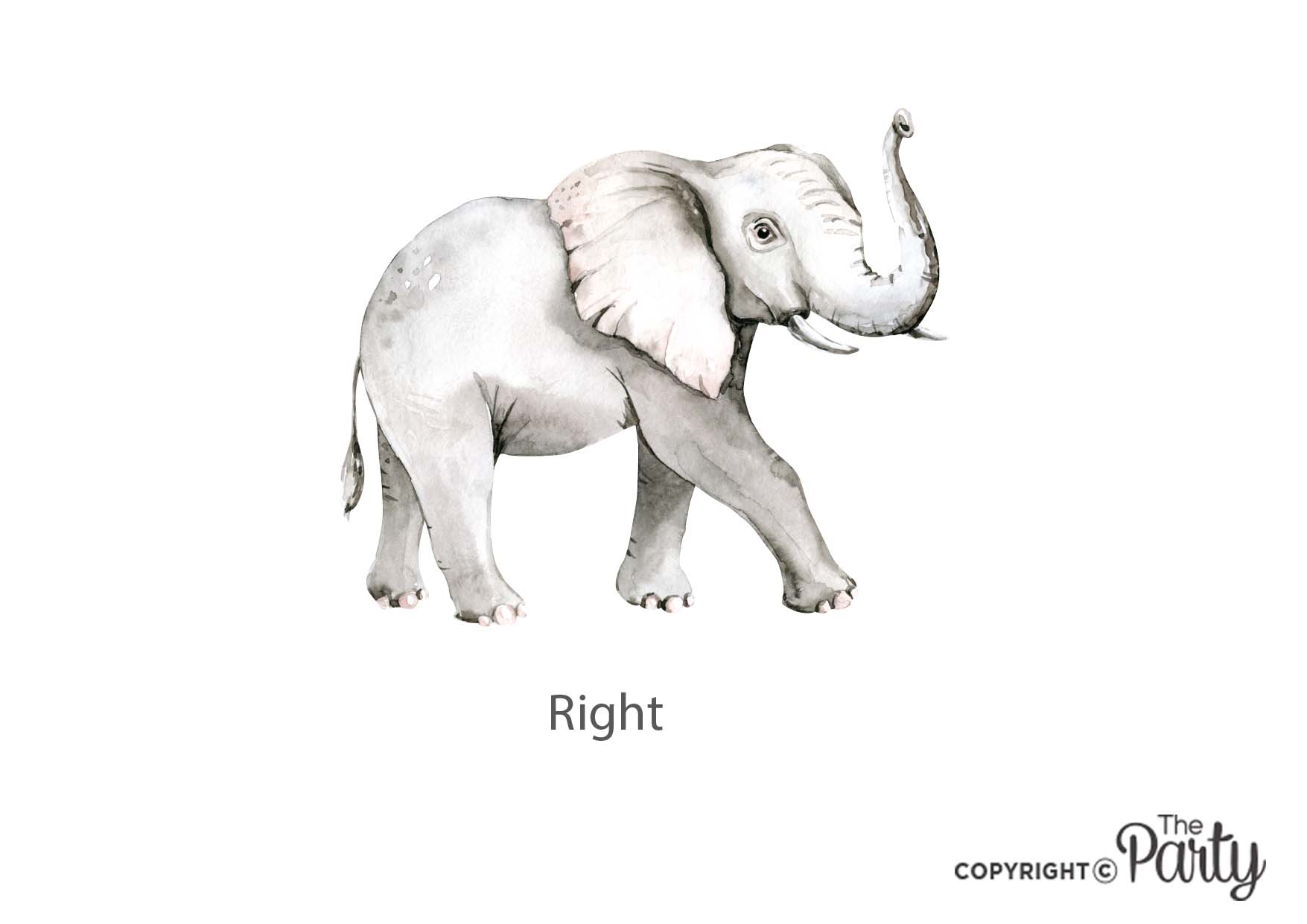 Large Elephant Nursery Wall Sticker – The Party, Dubai