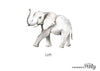 Wall Stickers - Large Elephant