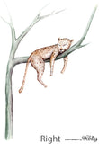 Wall Stickers - Leopard in tree